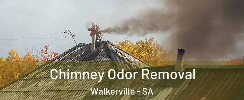 Chimney Odor Removal Walkerville - SA
