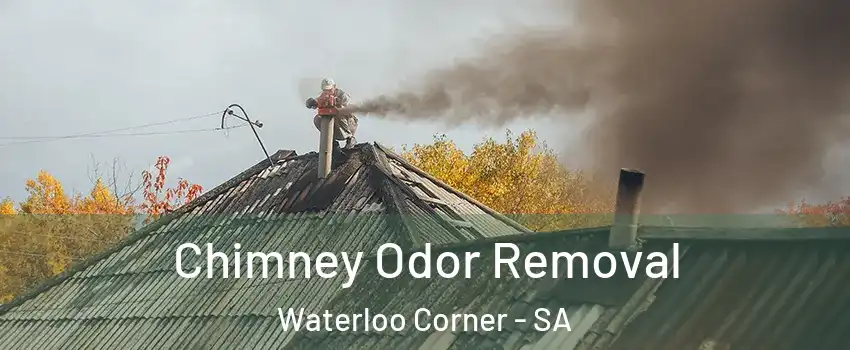 Chimney Odor Removal Waterloo Corner - SA