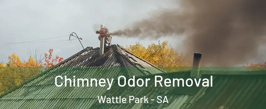 Chimney Odor Removal Wattle Park - SA