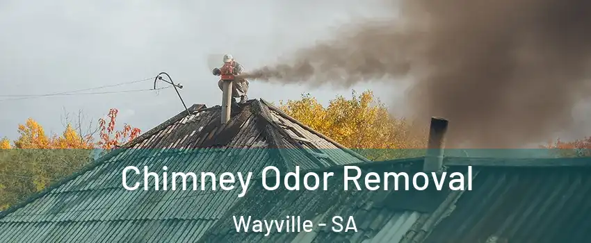 Chimney Odor Removal Wayville - SA