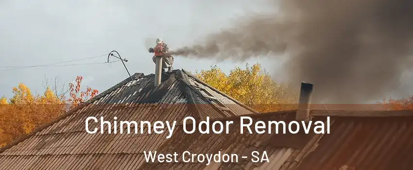 Chimney Odor Removal West Croydon - SA