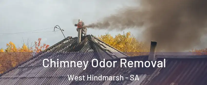 Chimney Odor Removal West Hindmarsh - SA