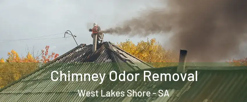 Chimney Odor Removal West Lakes Shore - SA