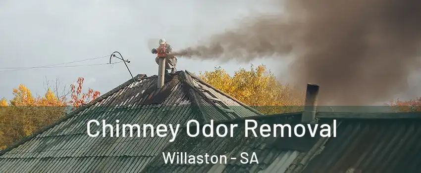 Chimney Odor Removal Willaston - SA