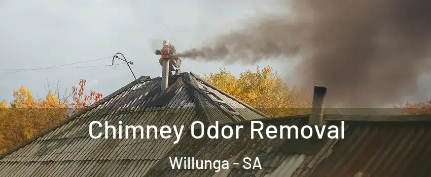 Chimney Odor Removal Willunga - SA