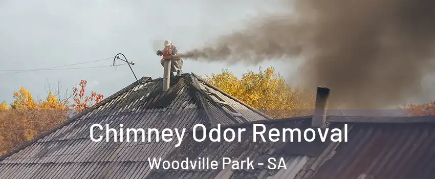 Chimney Odor Removal Woodville Park - SA