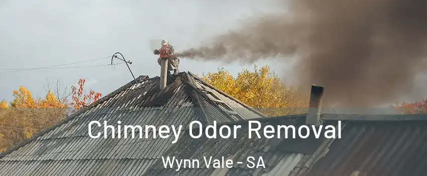 Chimney Odor Removal Wynn Vale - SA