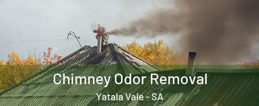 Chimney Odor Removal Yatala Vale - SA
