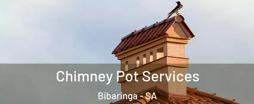  Chimney Pot Services Bibaringa - SA
