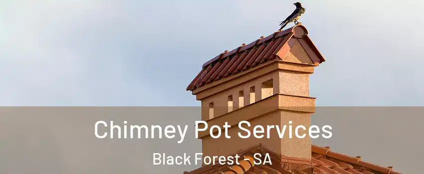  Chimney Pot Services Black Forest - SA