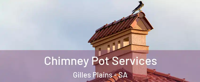 Chimney Pot Services Gilles Plains - SA