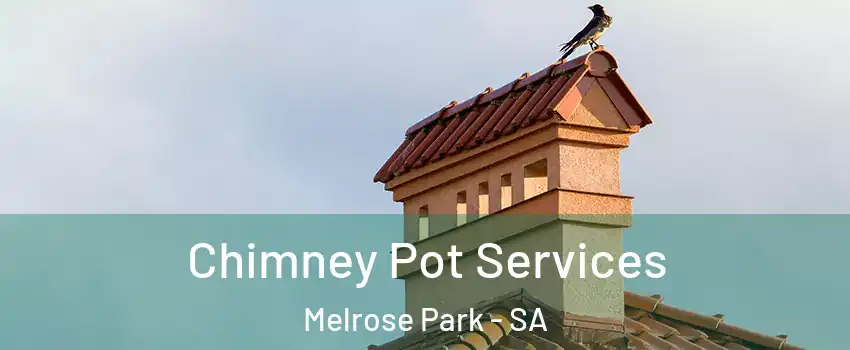 Chimney Pot Services Melrose Park - SA