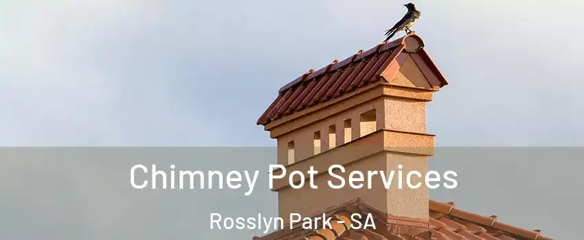 Chimney Pot Services Rosslyn Park - SA