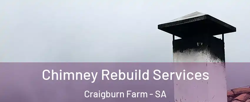 Chimney Rebuild Services Craigburn Farm - SA