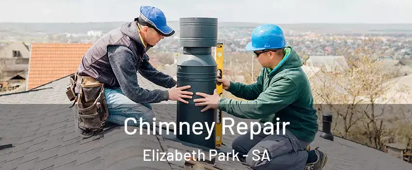 Chimney Repair Elizabeth Park - SA