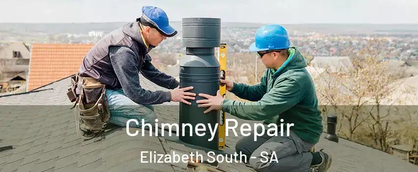 Chimney Repair Elizabeth South - SA