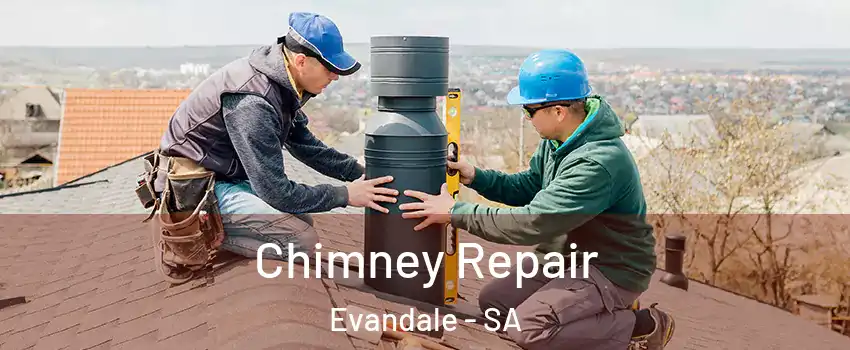  Chimney Repair Evandale - SA