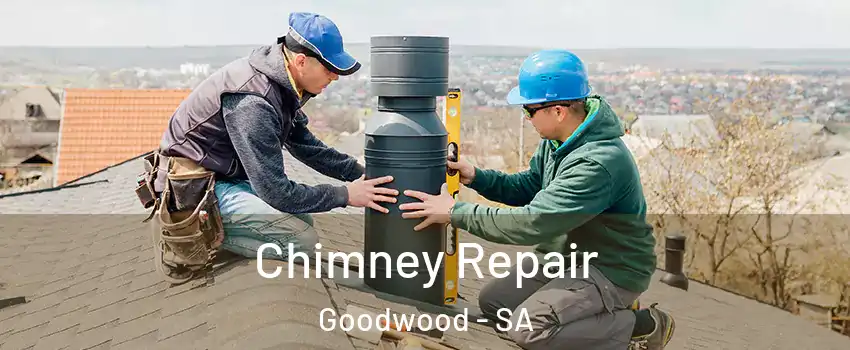  Chimney Repair Goodwood - SA