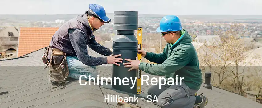  Chimney Repair Hillbank - SA