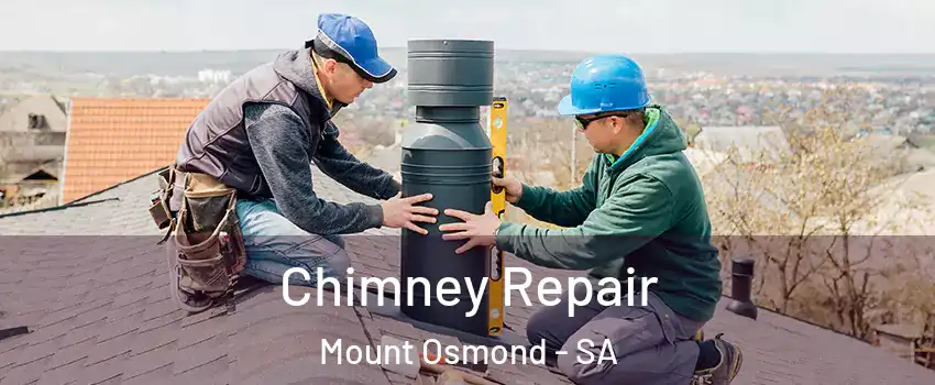 Chimney Repair Mount Osmond - SA
