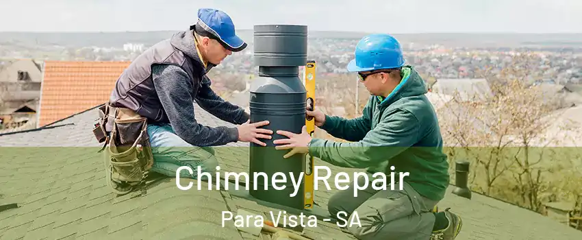 Chimney Repair Para Vista - SA