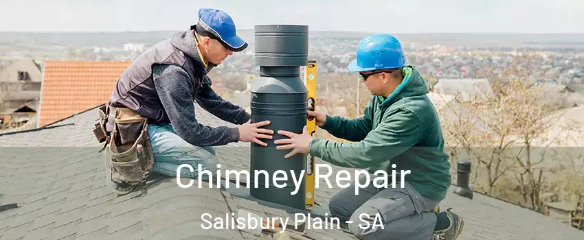 Chimney Repair Salisbury Plain - SA