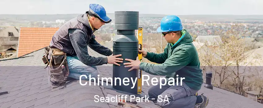 Chimney Repair Seacliff Park - SA