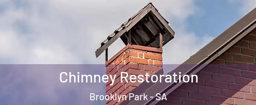 Chimney Restoration Brooklyn Park - SA