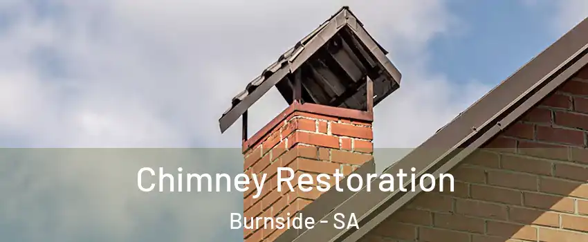  Chimney Restoration Burnside - SA