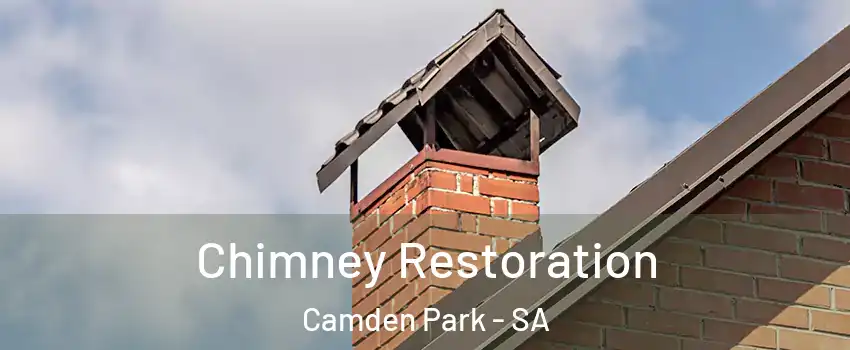  Chimney Restoration Camden Park - SA