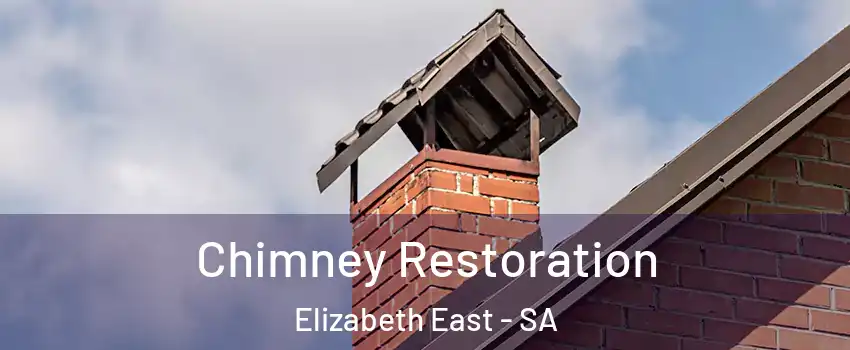 Chimney Restoration Elizabeth East - SA