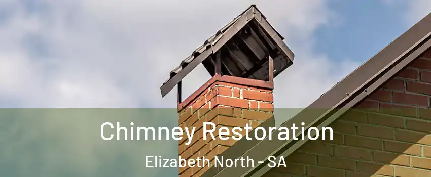 Chimney Restoration Elizabeth North - SA