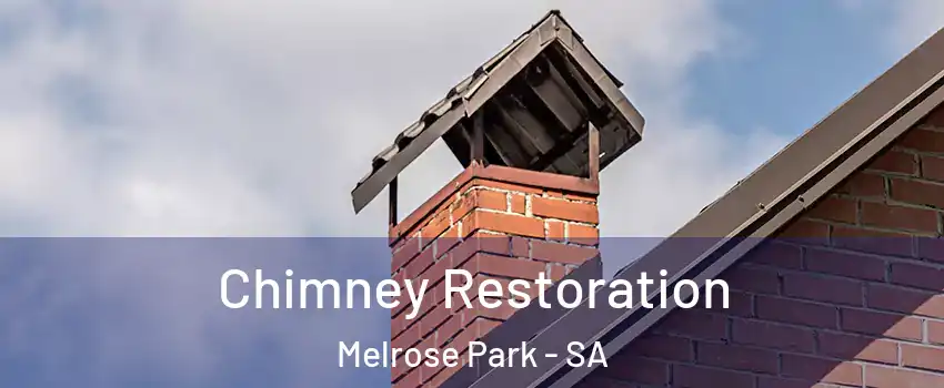 Chimney Restoration Melrose Park - SA