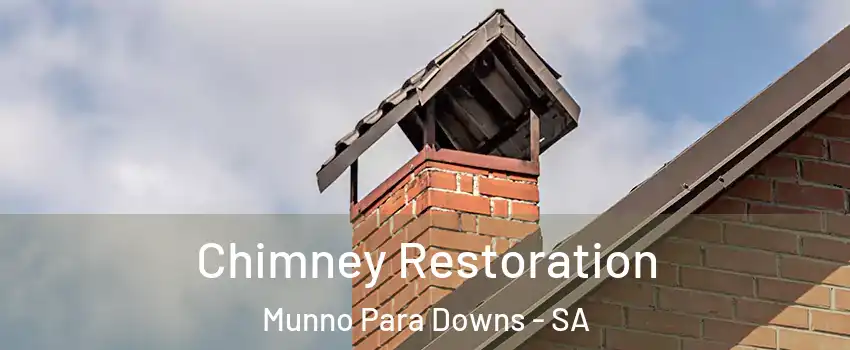 Chimney Restoration Munno Para Downs - SA