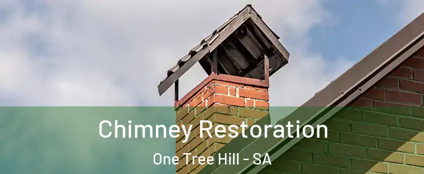  Chimney Restoration One Tree Hill - SA