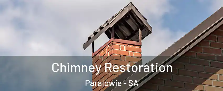Chimney Restoration Paralowie - SA