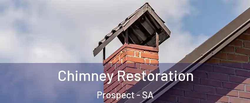Chimney Restoration Prospect - SA