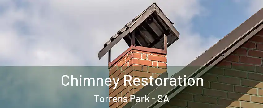 Chimney Restoration Torrens Park - SA