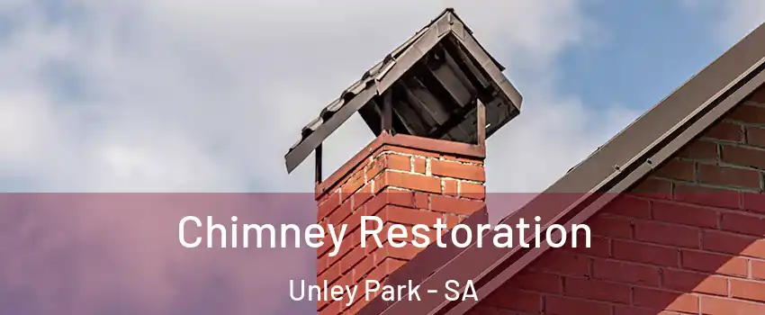 Chimney Restoration Unley Park - SA