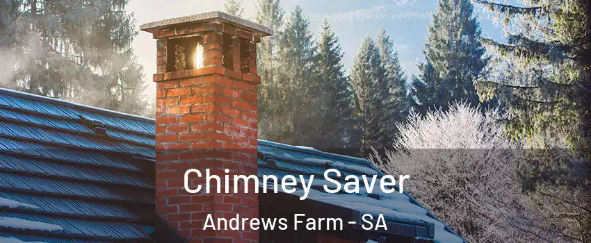  Chimney Saver Andrews Farm - SA