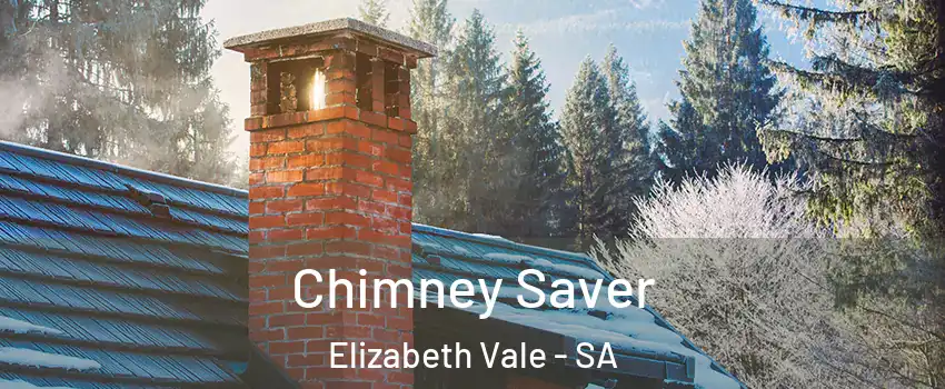  Chimney Saver Elizabeth Vale - SA