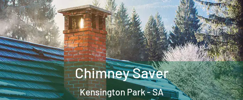 Chimney Saver Kensington Park - SA