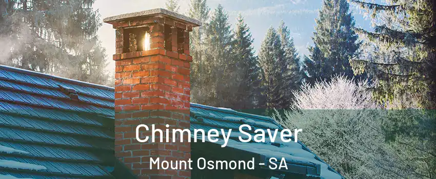 Chimney Saver Mount Osmond - SA