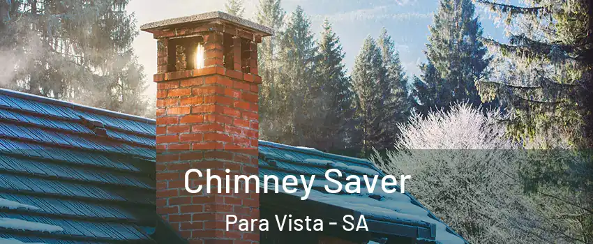  Chimney Saver Para Vista - SA