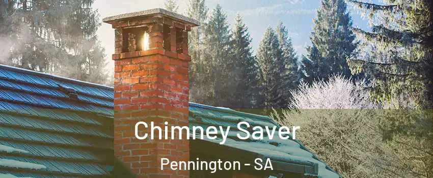 Chimney Saver Pennington - SA
