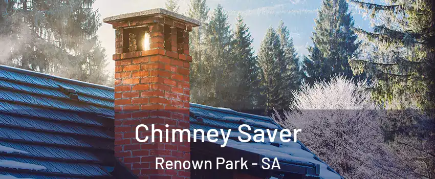 Chimney Saver Renown Park - SA