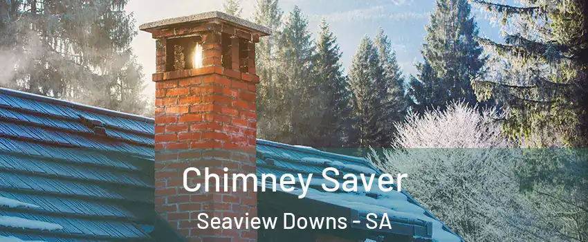 Chimney Saver Seaview Downs - SA