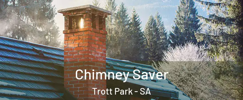 Chimney Saver Trott Park - SA