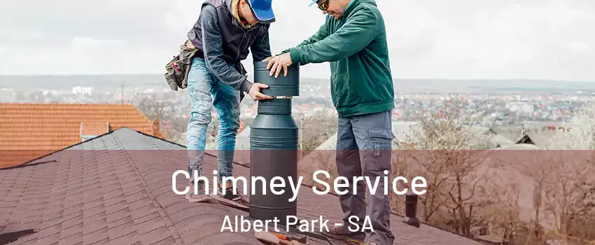  Chimney Service Albert Park - SA