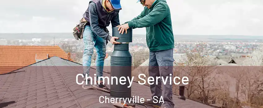Chimney Service Cherryville - SA